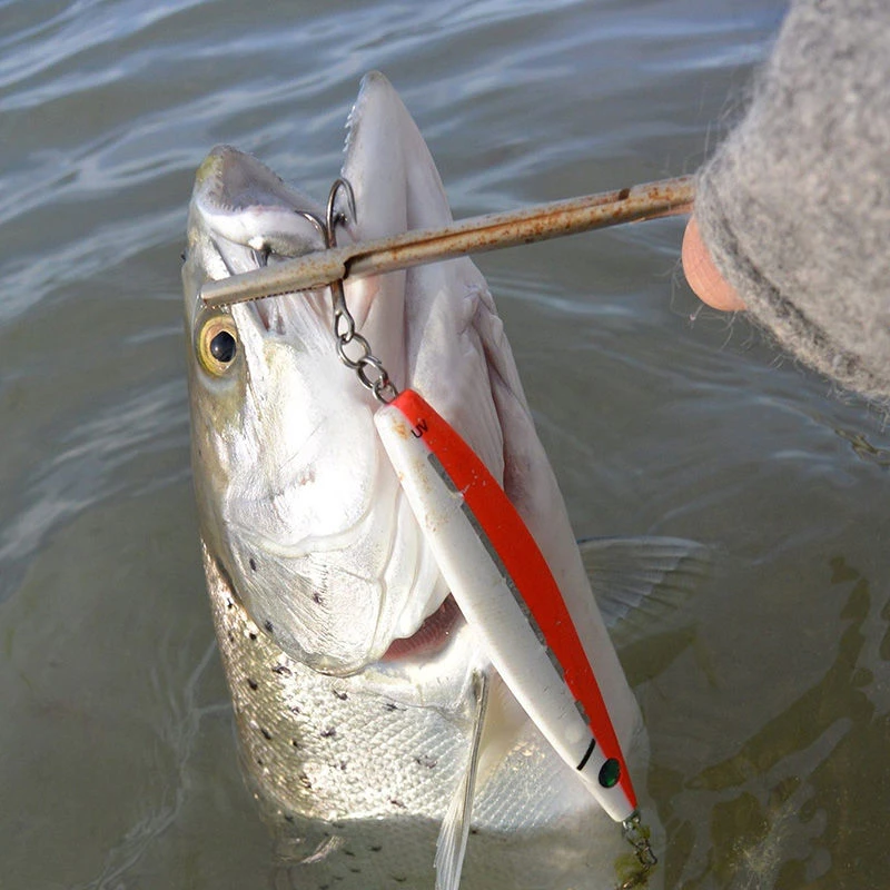 Westin Salty Lures